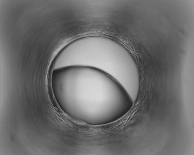 X0000111870292200907231157