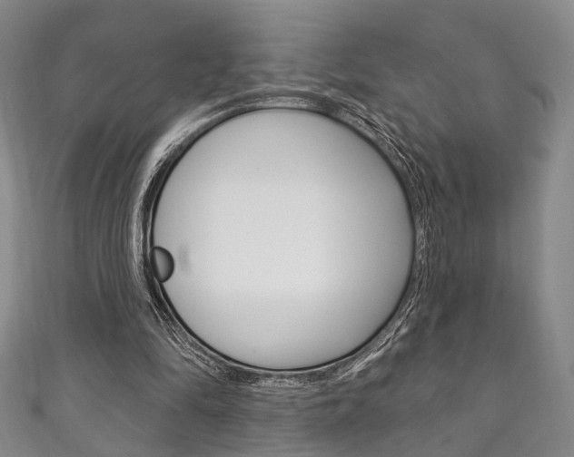 X0000111870294200907231157