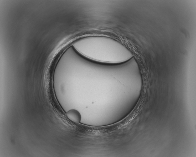 X0000111870295200907231157