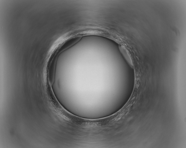 X0000111870296200907231157