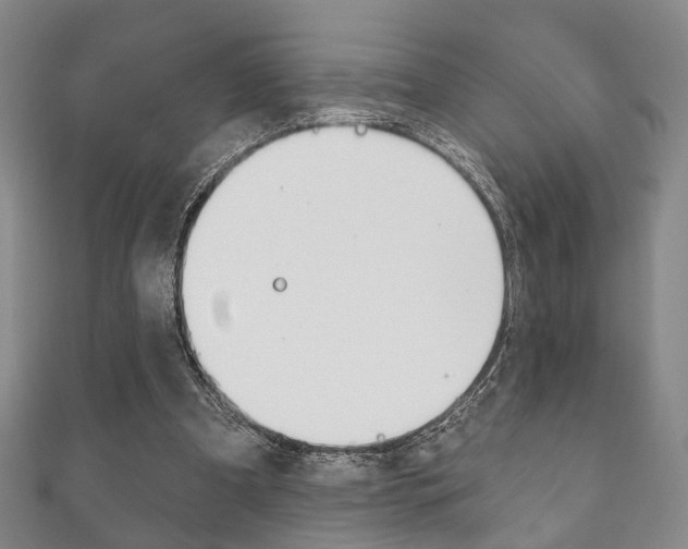 X0000111870297200907231157