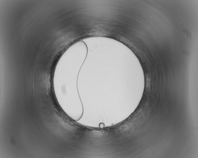 X0000111870302200907231157