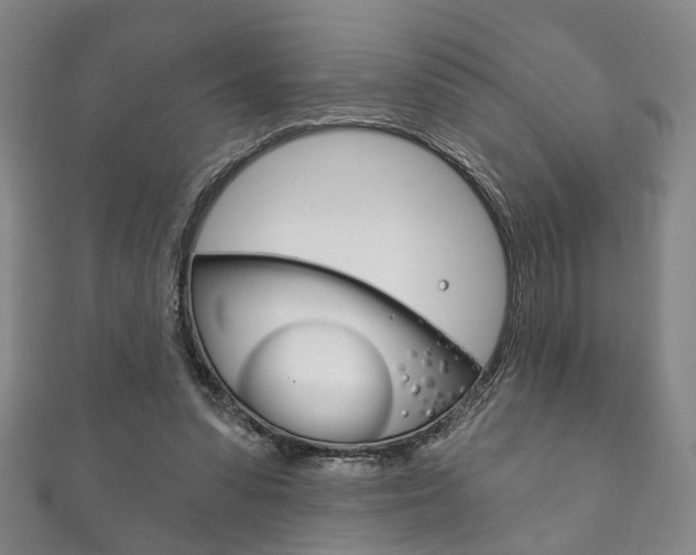 X0000111870303200907231157
