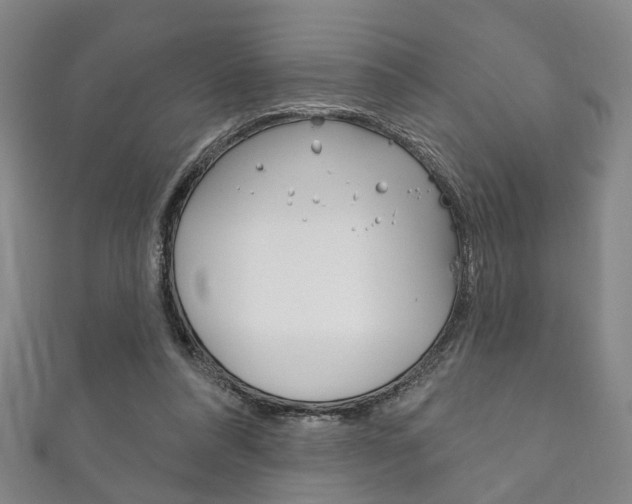X0000111870304200907231157