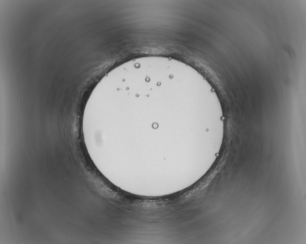 X0000111870305200907231157