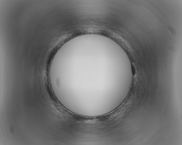 X0000111870306200907231156
