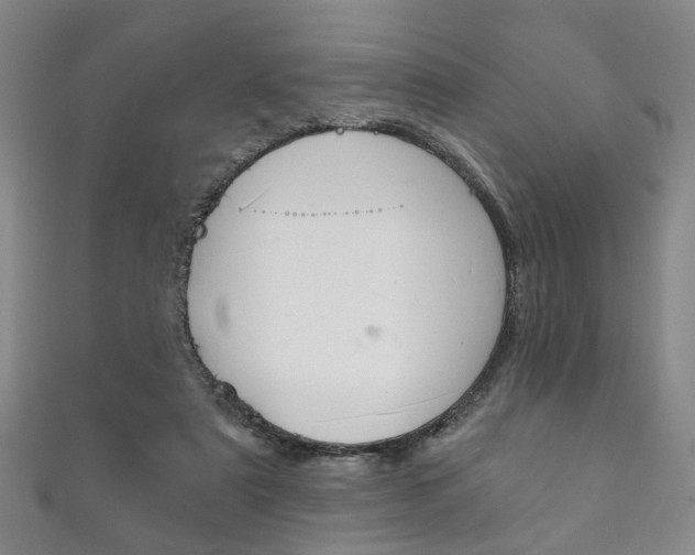 X0000111870307200907231156