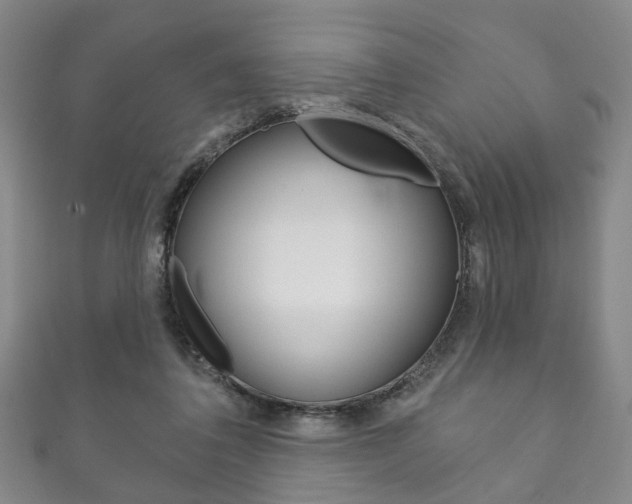 X0000111870308200907231156
