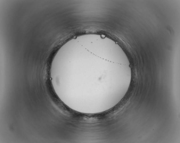 X0000111870311200907231156