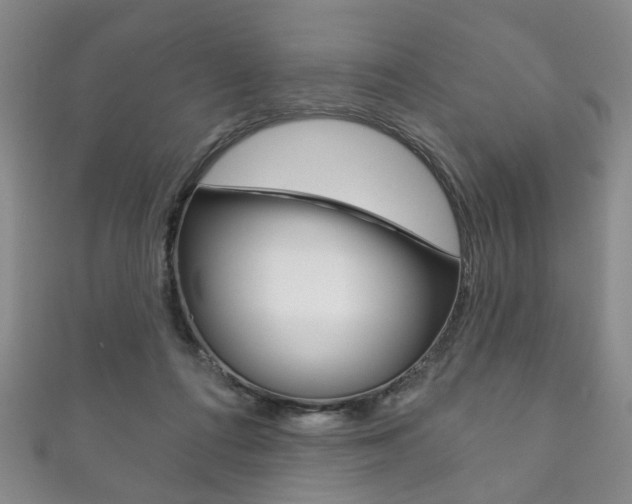 X0000111870312200907231156