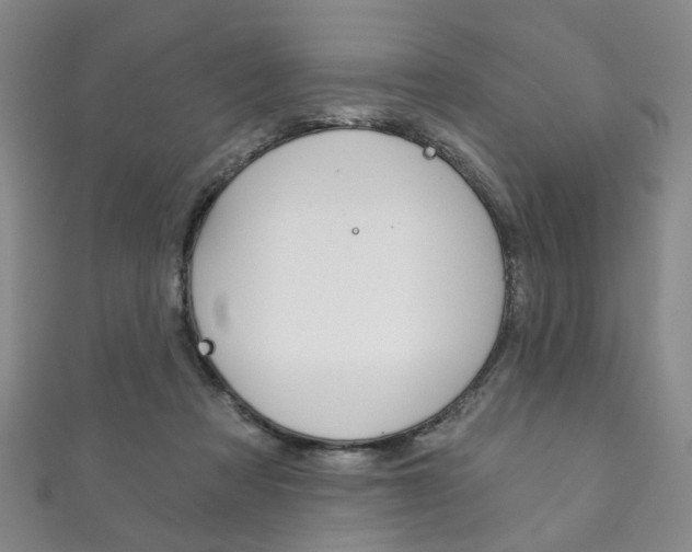 X0000111870313200907231156