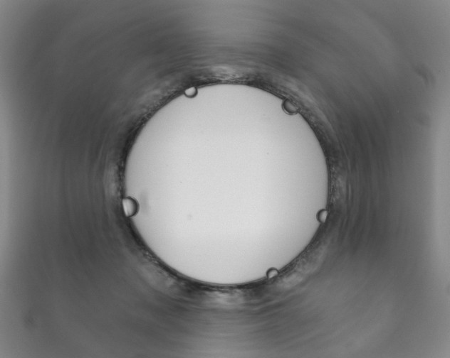 X0000111870317200907231156