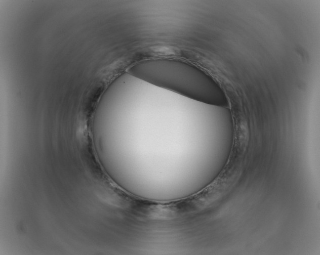 X0000111870320200907231156