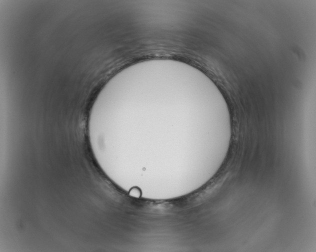 X0000111870321200907231156