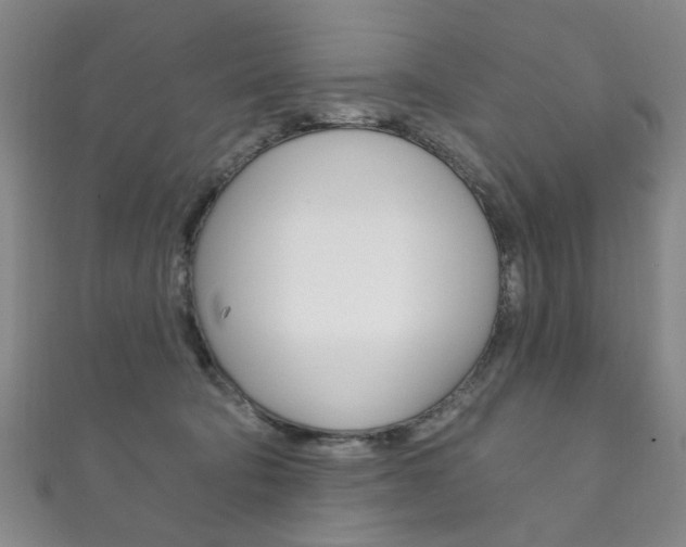 X0000111870322200907231156