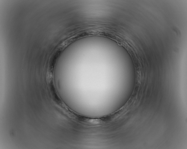 X0000111870324200907231156