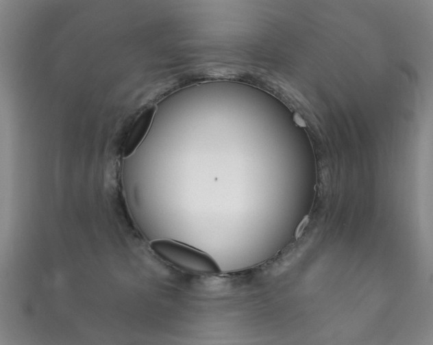 X0000111870325200907231156