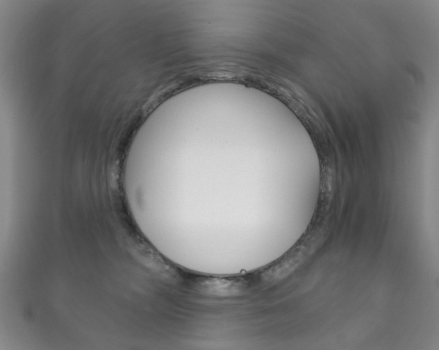 X0000111870326200907231156