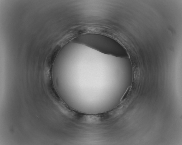 X0000111870327200907231156
