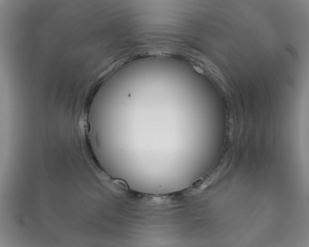 X0000111870329200907231156