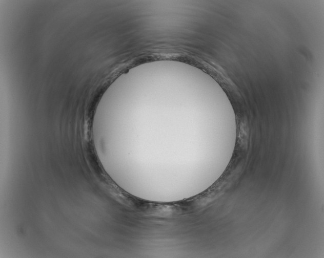 X0000111870330200907231156