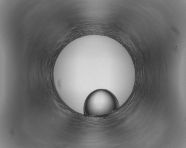 X0000111870332200907231156