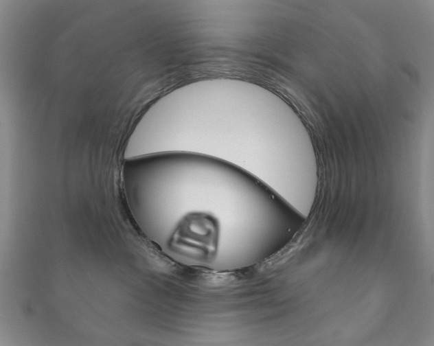 X0000111870333200907231156
