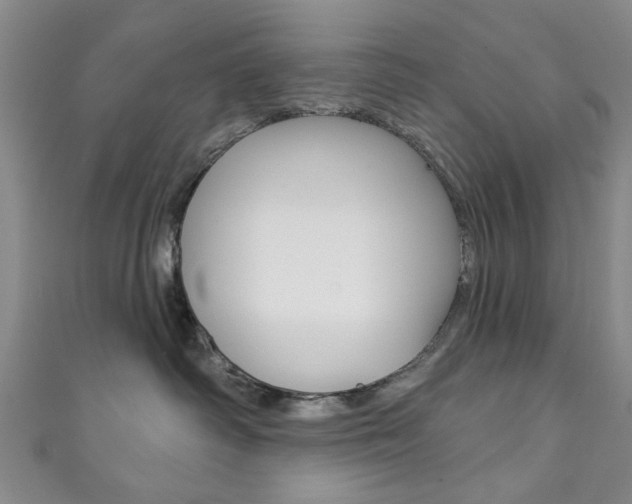 X0000111870334200907231156