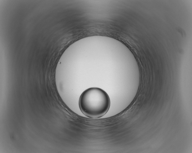 X0000111870336200907231156
