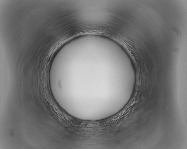 X0000111870337200907231155