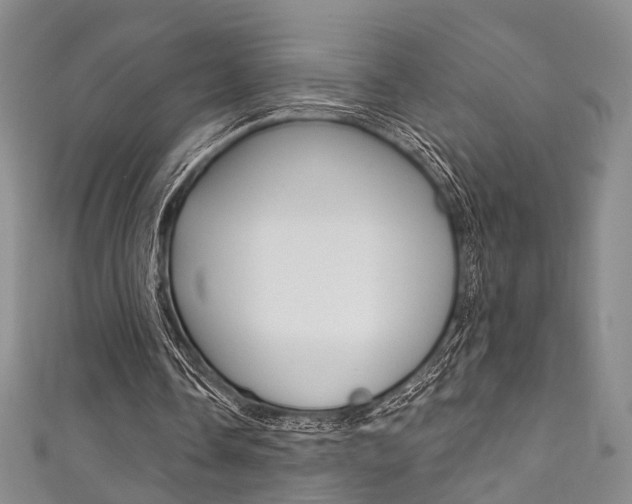 X0000111870338200907231156