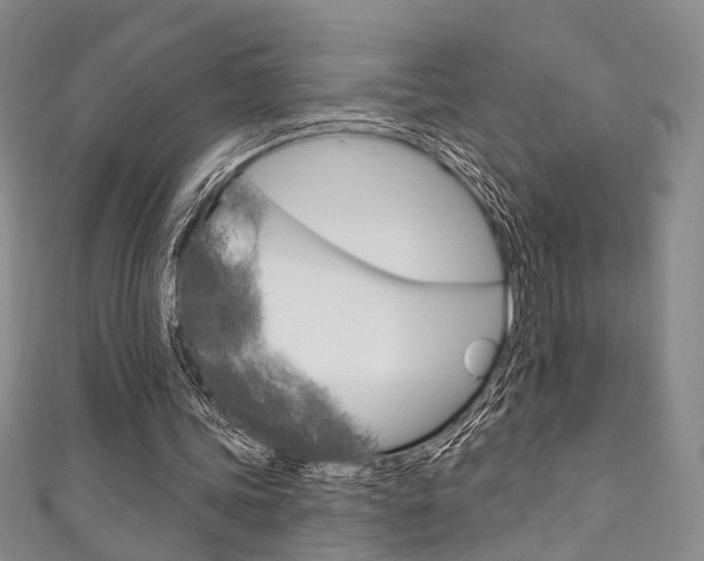X0000111870339200907231156