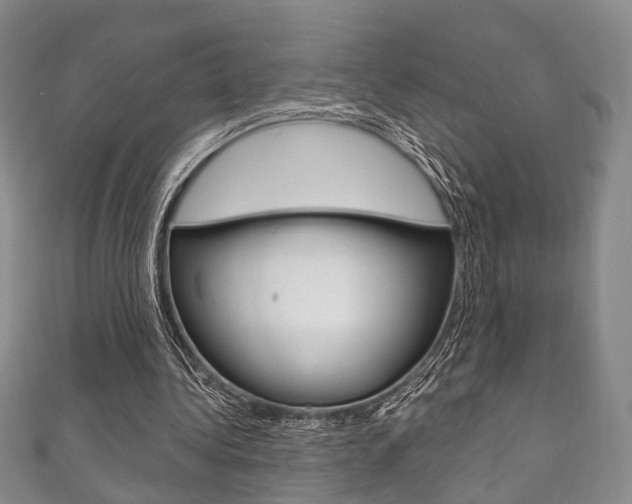 X0000111870340200907231156