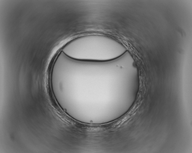 X0000111870342200907231156