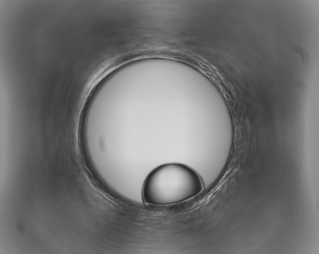 X0000111870344200907231156