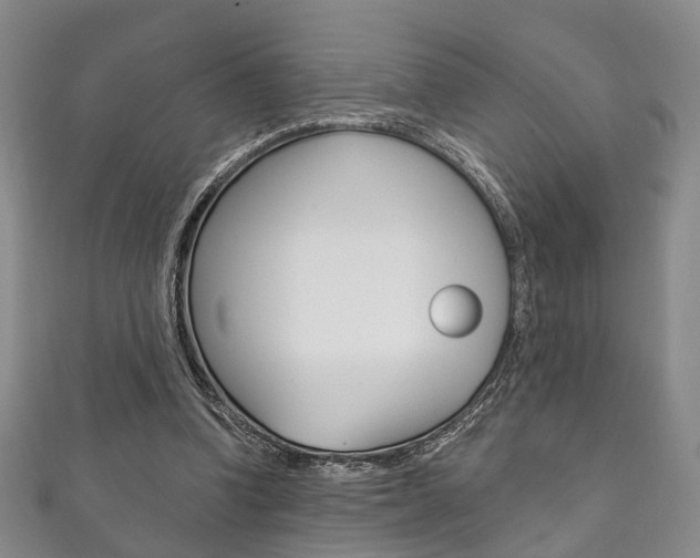 X0000111870346200907231156