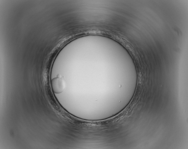 X0000111870347200907231156