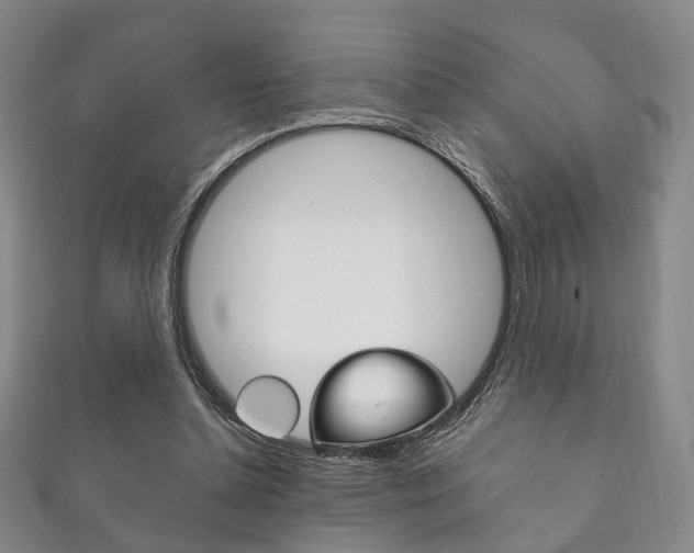 X0000111870348200907231156