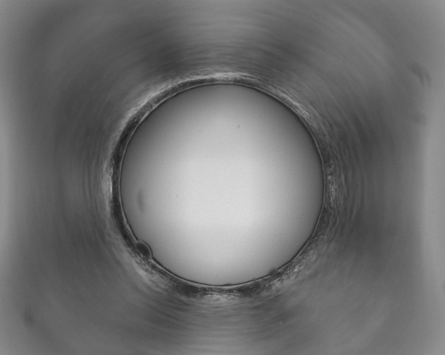X0000111870350200907231156