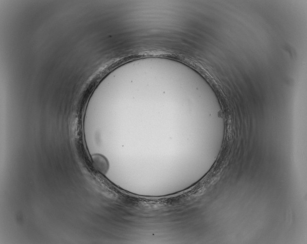 X0000111870351200907231156