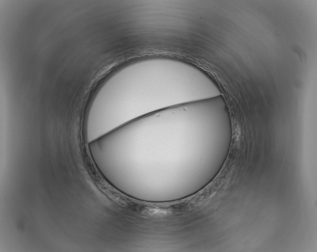 X0000111870352200907231156