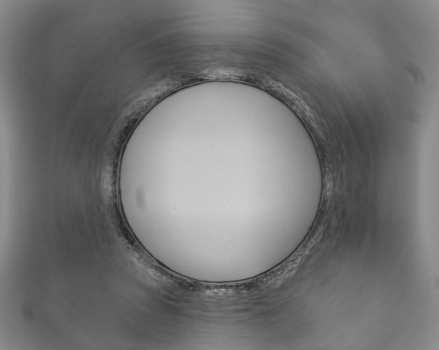 X0000111870353200907231156