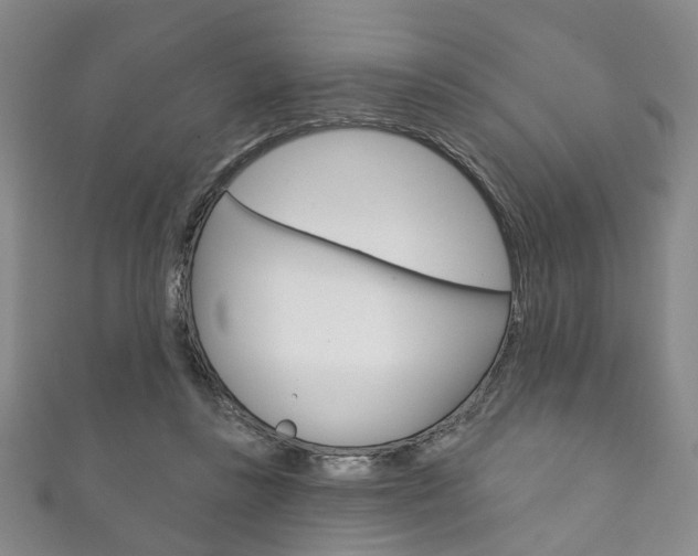 X0000111870355200907231156