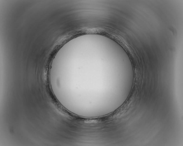 X0000111870357200907231156
