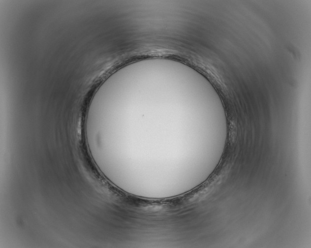 X0000111870358200907231156