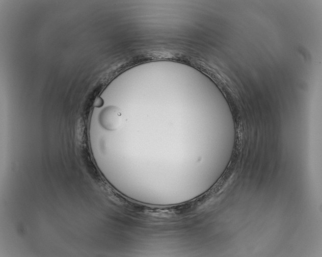 X0000111870359200907231156
