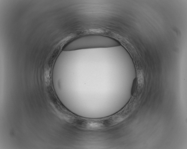 X0000111870360200907231156