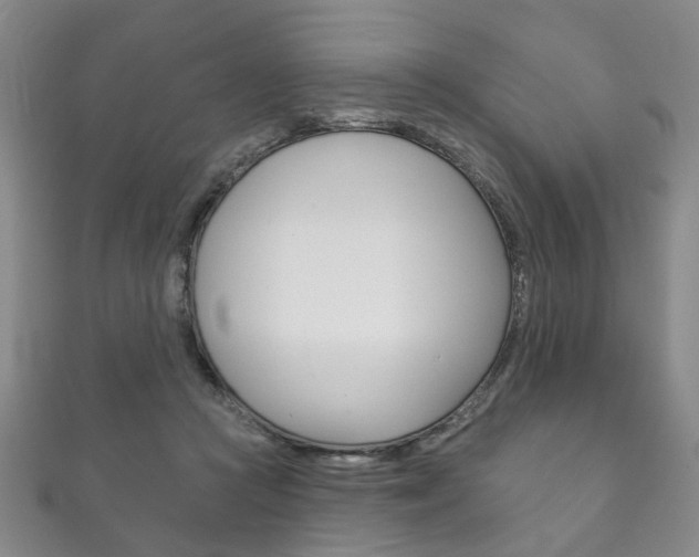 X0000111870361200907231156