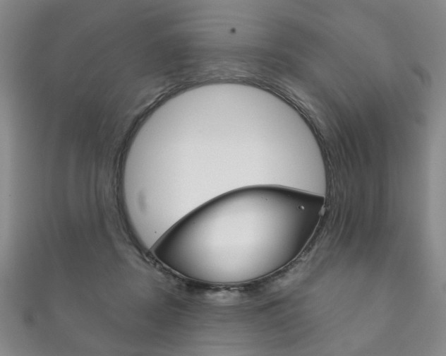 X0000111870362200907231156
