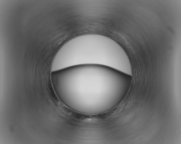 X0000111870364200907231156